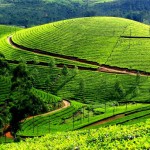Cinamoninė Šri Lanka - egzotinė kelionė