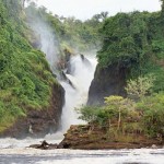 Uganda - egzotinė kelionė